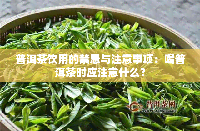 普洱茶饮用的禁忌与注意事项：喝普洱茶时应注意什么？