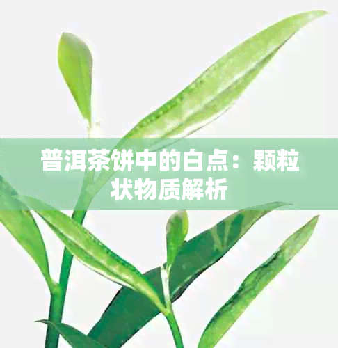 普洱茶饼中的白点：颗粒状物质解析