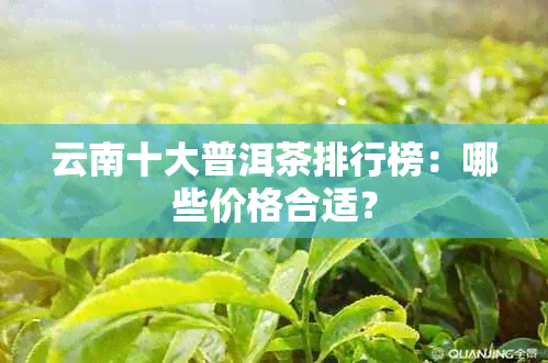 云南十大普洱茶排行榜：哪些价格合适？