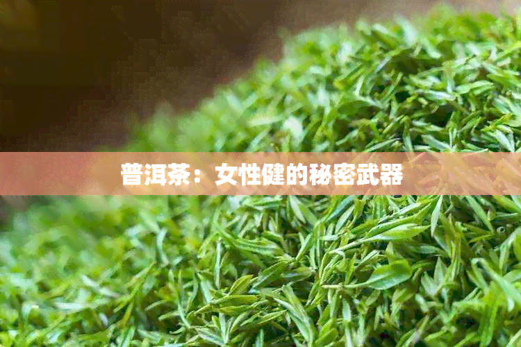 普洱茶：女性健的秘密武器