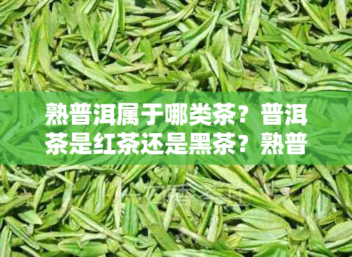 熟普洱属于哪类茶？普洱茶是红茶还是黑茶？熟普洱和生茶的区别是什么？