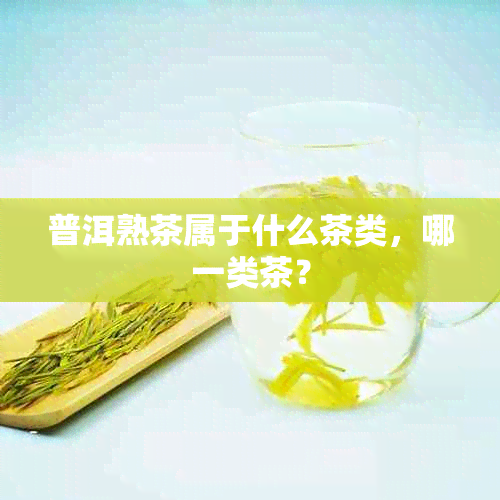 普洱熟茶属于什么茶类，哪一类茶？