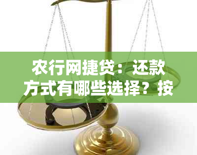 农行网捷贷：还款方式有哪些选择？按月还款是唯一选项吗？