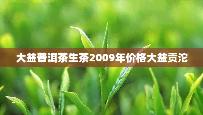 大益普洱茶生茶2009年价格大益贡沱