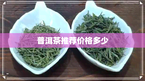 普洱茶推荐价格多少