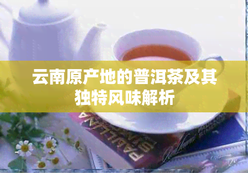 云南原产地的普洱茶及其独特风味解析