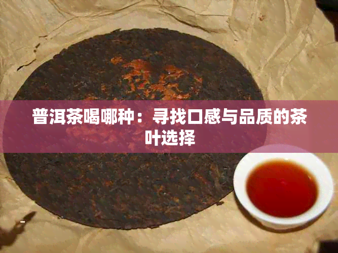 普洱茶喝哪种：寻找口感与品质的茶叶选择