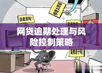 网贷逾期处理与风险控制策略