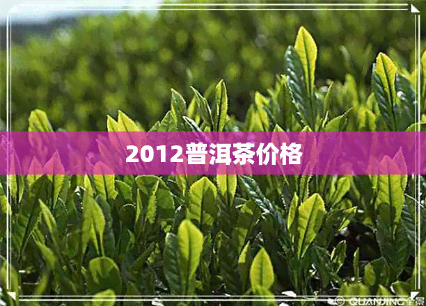 2012普洱茶价格