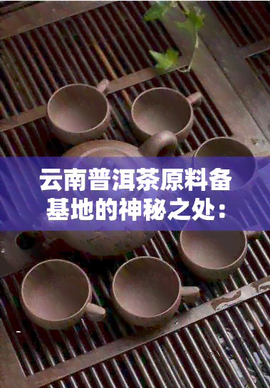 云南普洱茶原料备基地的神秘之处：在哪里揭示其独特产地与生产过程？