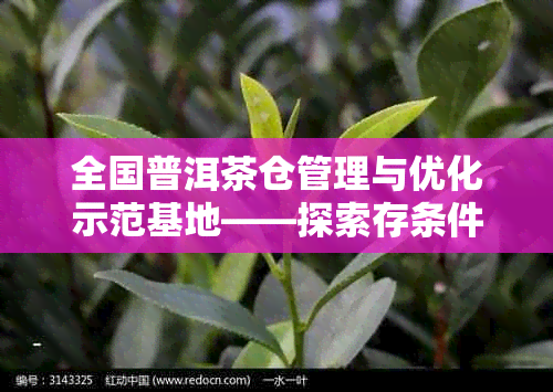 全国普洱茶仓管理与优化示范基地——探索存条件与品质提升方法