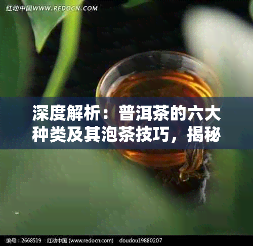 深度解析：普洱茶的六大种类及其泡茶技巧，揭秘十大好喝茶叶推荐