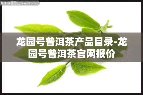 龙园号普洱茶产品目录-龙园号普洱茶官网报价