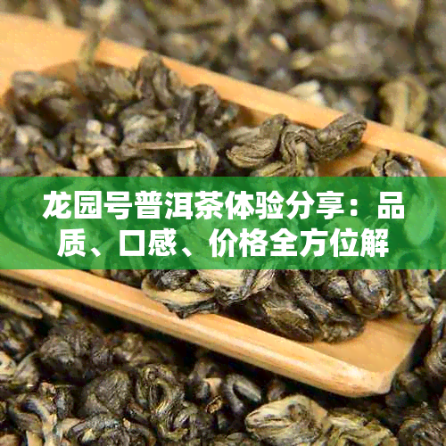 龙园号普洱茶体验分享：品质、口感、价格全方位解析，网友真实评价助你挑选