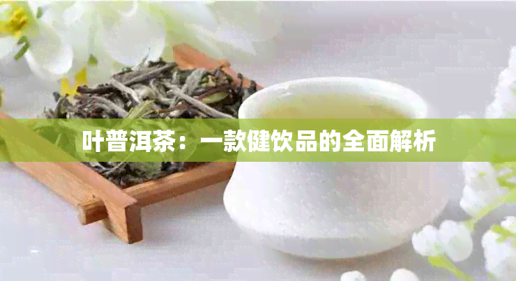 叶普洱茶：一款健饮品的全面解析