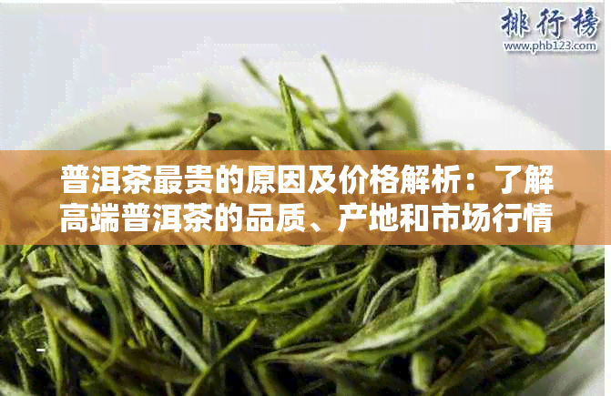 普洱茶最贵的原因及价格解析：了解高端普洱茶的品质、产地和市场行情