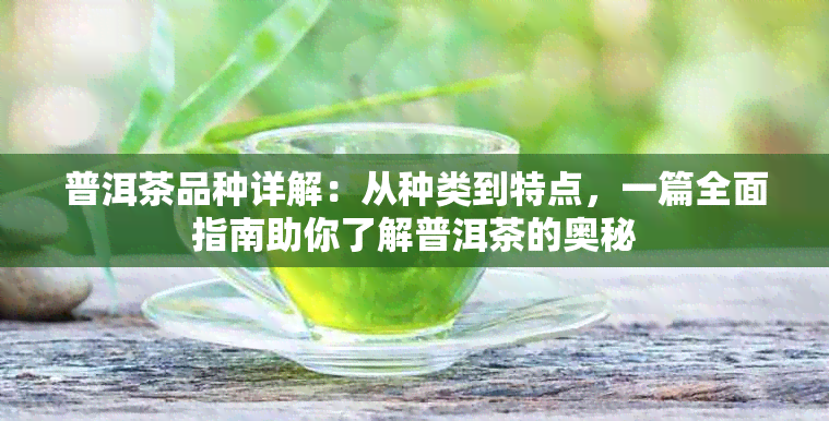 普洱茶品种详解：从种类到特点，一篇全面指南助你了解普洱茶的奥秘