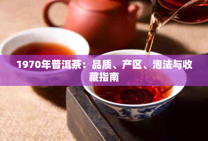 1970年普洱茶：品质、产区、泡法与收藏指南