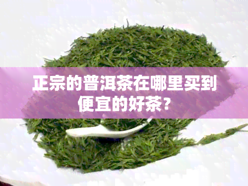 正宗的普洱茶在哪里买到便宜的好茶？