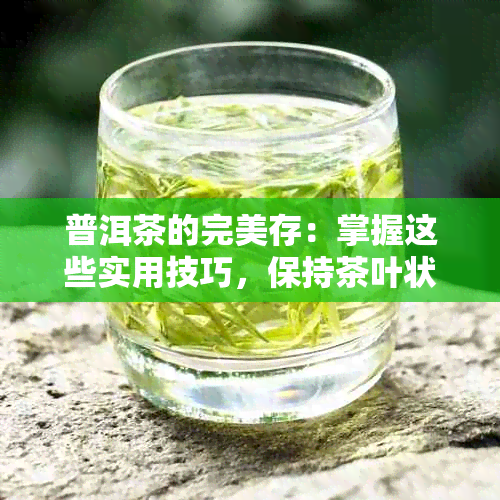 普洱茶的完美存：掌握这些实用技巧，保持茶叶状态