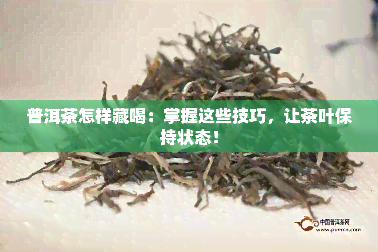 普洱茶怎样藏喝：掌握这些技巧，让茶叶保持状态！