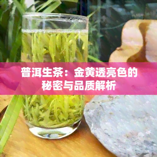 普洱生茶：金黄透亮色的秘密与品质解析