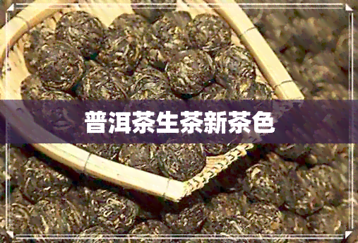 普洱茶生茶新茶色