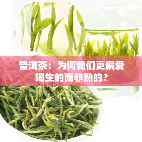 普洱茶：为何我们更偏爱喝生的而非熟的？