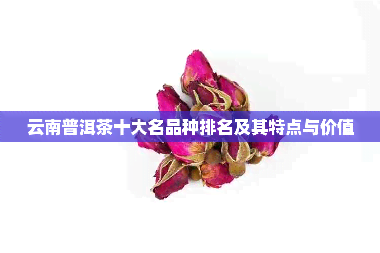 云南普洱茶十大名品种排名及其特点与价值