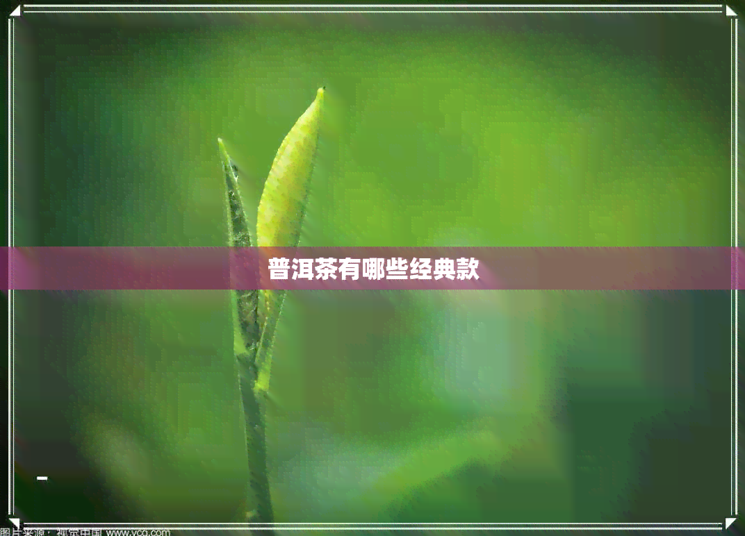 普洱茶有哪些经典款