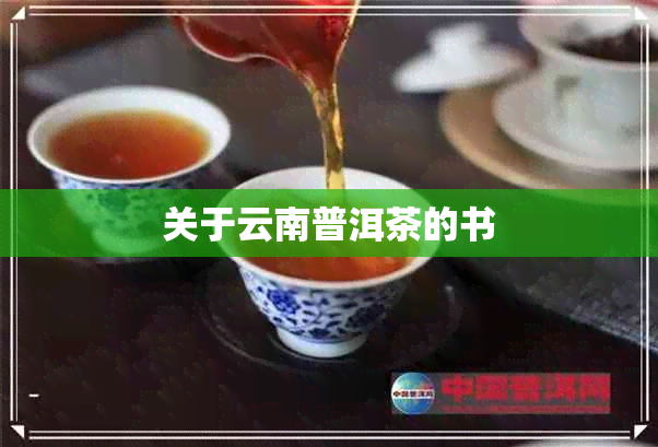 关于云南普洱茶的书