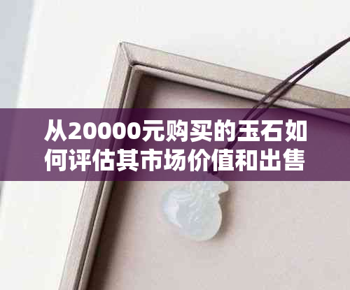 从20000元购买的玉石如何评估其市场价值和出售价格？