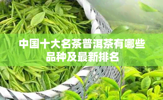 中国十大名茶普洱茶有哪些品种及最新排名