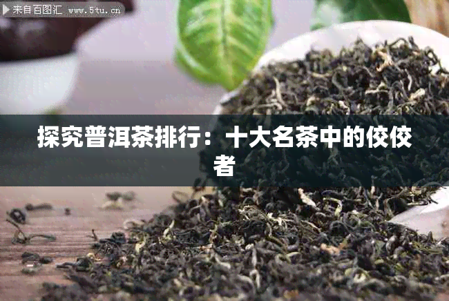 探究普洱茶排行：十大名茶中的佼佼者