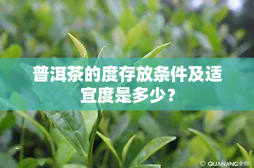 普洱茶的度存放条件及适宜度是多少？