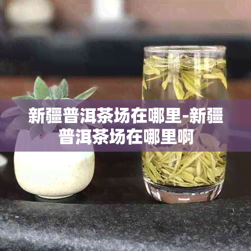 新疆普洱茶场在哪里-新疆普洱茶场在哪里啊