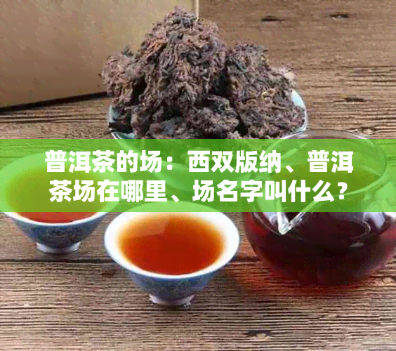 普洱茶的场：西双版纳、普洱茶场在哪里、场名字叫什么？