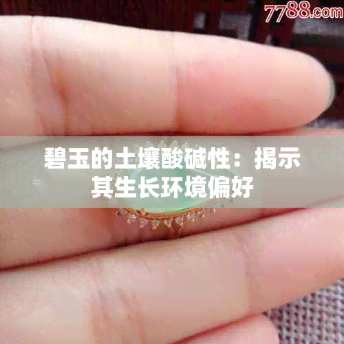 碧玉的土壤酸碱性：揭示其生长环境偏好