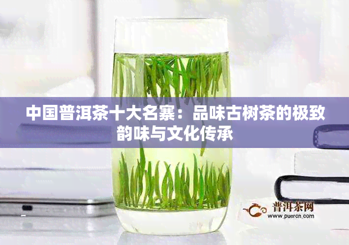 中国普洱茶十大名寨：品味古树茶的极致韵味与文化传承