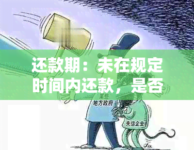 还款期：未在规定时间内还款，是否会在次日自动扣款？