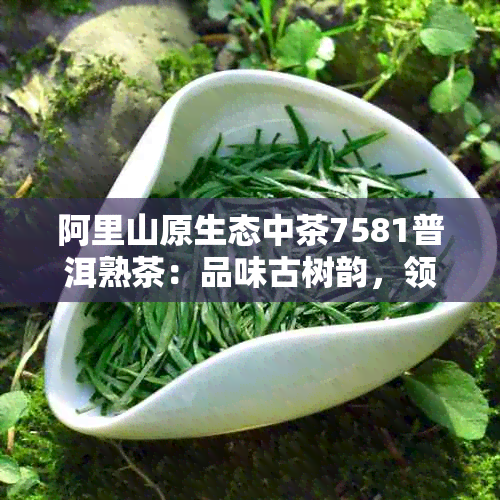 阿里山原生态中茶7581普洱熟茶：品味古树韵，领略茶文化新篇章