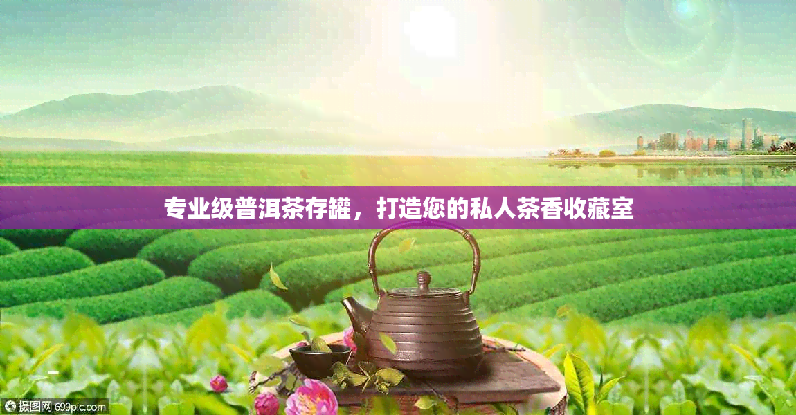 专业级普洱茶存罐，打造您的私人茶香收藏室