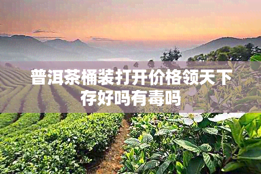 普洱茶桶装打开价格领天下存好吗有吗