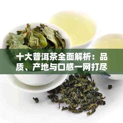 十大普洱茶全面解析：品质、产地与口感一网打尽！