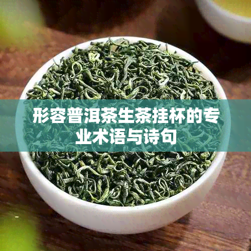 形容普洱茶生茶挂杯的专业术语与诗句