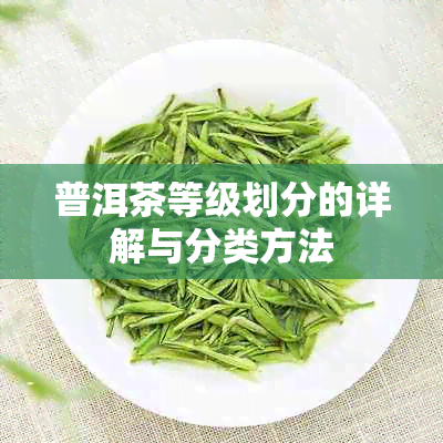 普洱茶等级划分的详解与分类方法