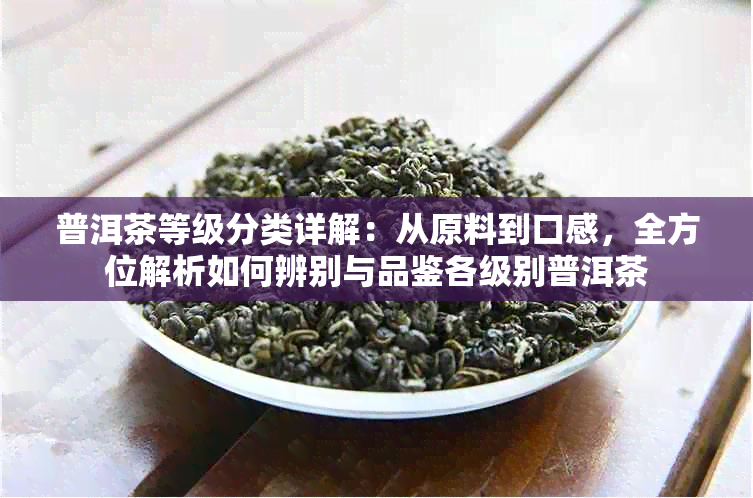 普洱茶等级分类详解：从原料到口感，全方位解析如何辨别与品鉴各级别普洱茶