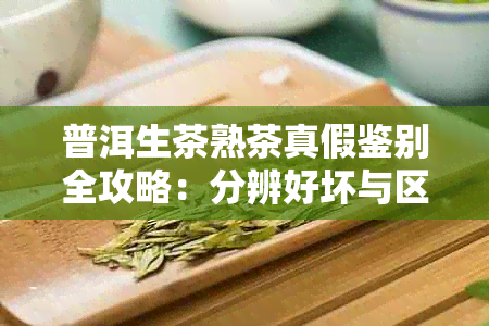 普洱生茶熟茶真假鉴别全攻略：分辨好坏与区分技巧详解