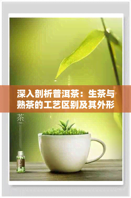 深入剖析普洱茶：生茶与熟茶的工艺区别及其外形特征比较