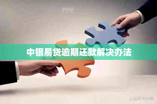 中银易贷逾期还款解决办法